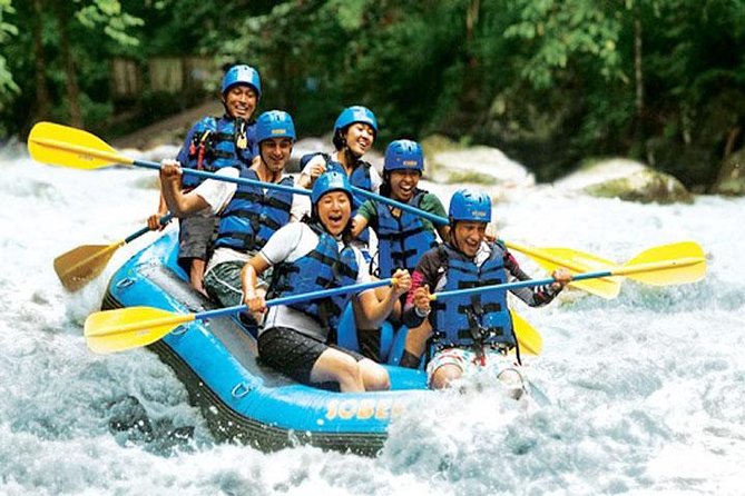 Bali Rafting and Private Combination Ubud Tour Packages - Good To Know