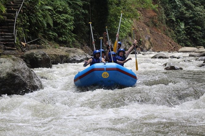 Bali Rafting at Ayung River Ubud - (Private & All-Inclusive) - Good To Know