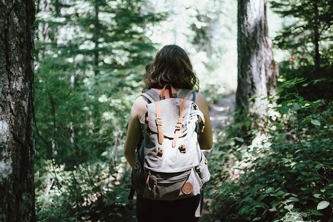 Bali Rain Forest Trekking Tour With Lunch - Good To Know