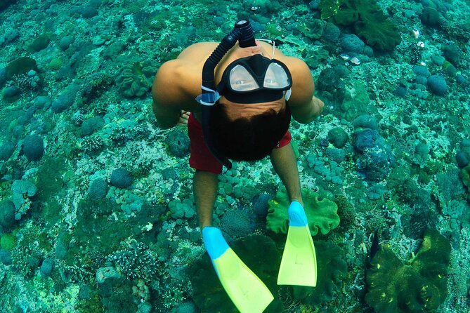 Bali Reef Cruise and Lembongan Island Day Trip - Good To Know