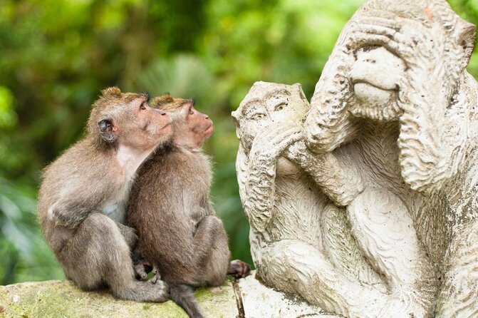 12 Best Walking Tours In Seminyak