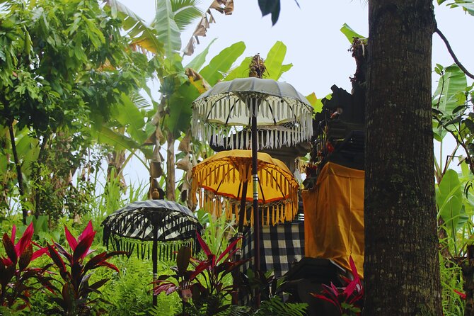 Bali Spiritual: Blessing Ceremony, Pristine Nature and Transfer