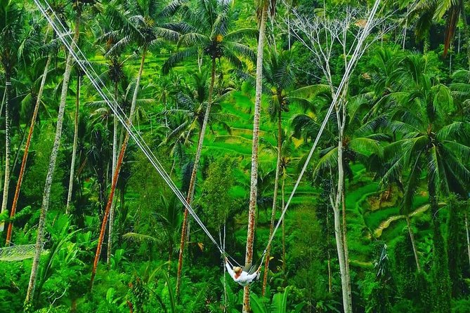 Bali Swing, Waterfall, Tanah Lot Tour - Good To Know