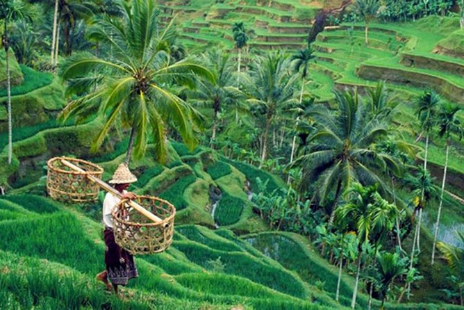 Bali Tour Package 3 Days 2 Nights