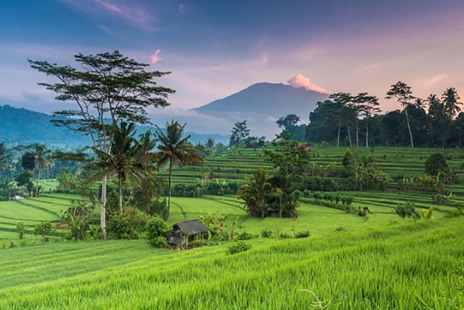 Bali Tour Package 5 Days 4 Nights - Good To Know