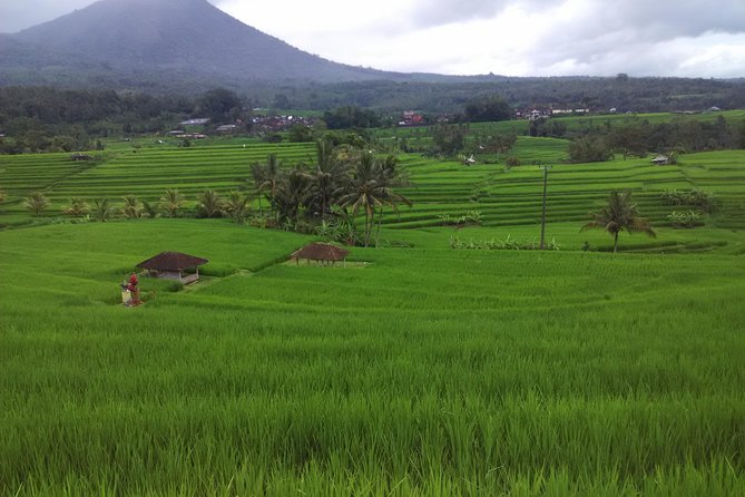 Bali Ubud Airport Pick Up and Drop to Hotel - Service Overview
