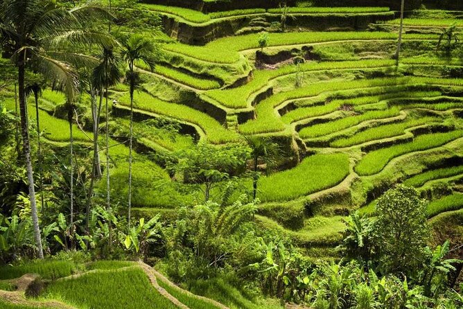 Bali UNESCO Sites: Private Guided Full-Day Tour - Good To Know
