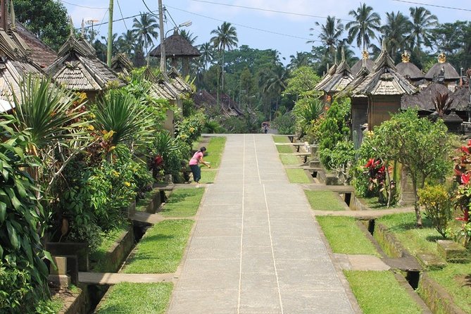 Bali Village & Bamboo Forest Visit - Good To Know