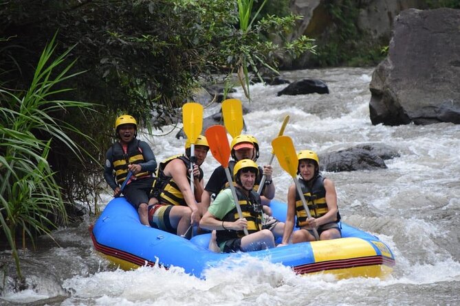 Bali White Water Rafting With Optional Ubud Tour - Good To Know