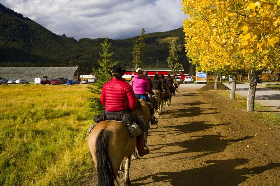 Banff: 2-Day Overnight Backcountry Lodge Trip by Horseback - Good To Know
