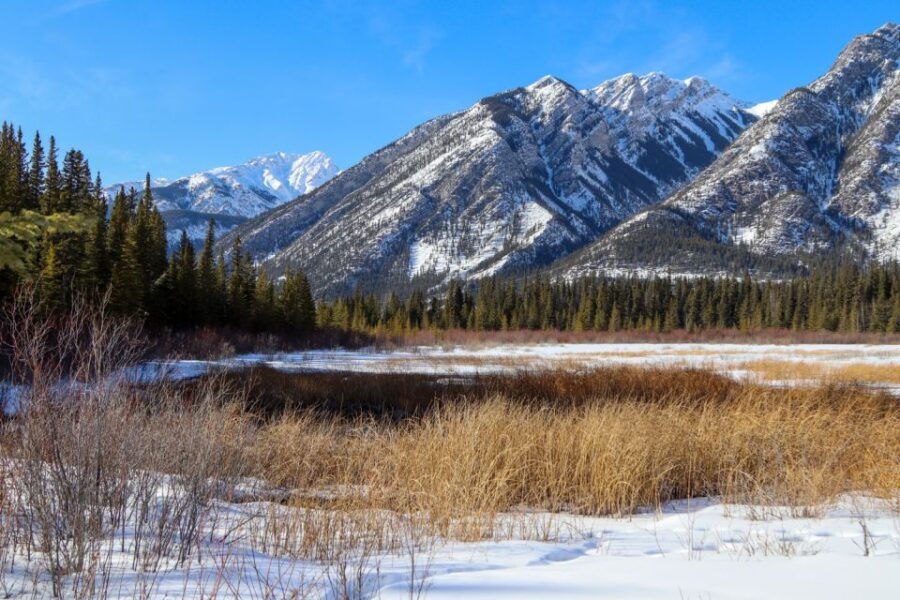 Banff: Historic Cave & Basin Self-Guided Walking Audio Tour - Good To Know
