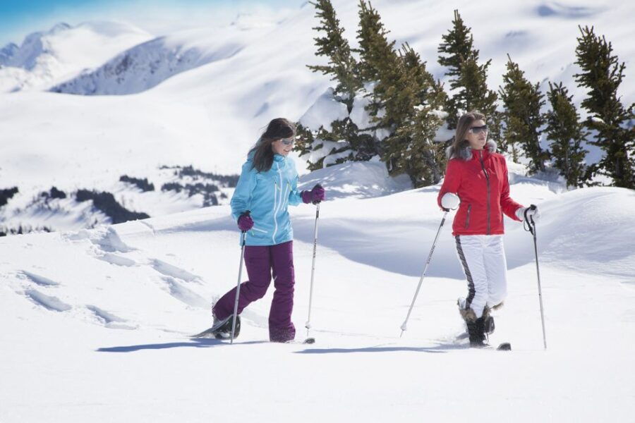 Banff National Park: Sunshine Meadows Snowshoeing Experience