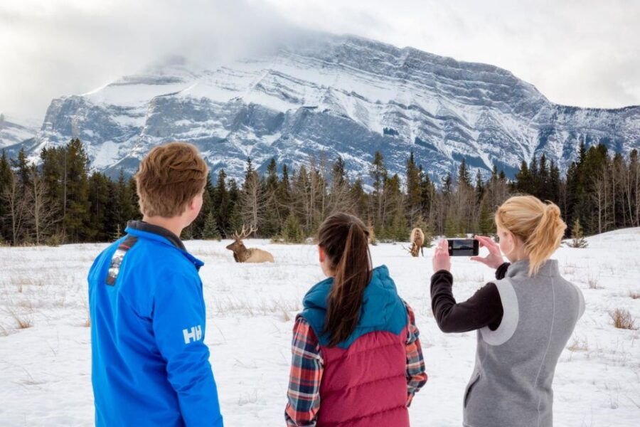 Banff: Wildlife and Sightseeing Minibus Tour - Good To Know