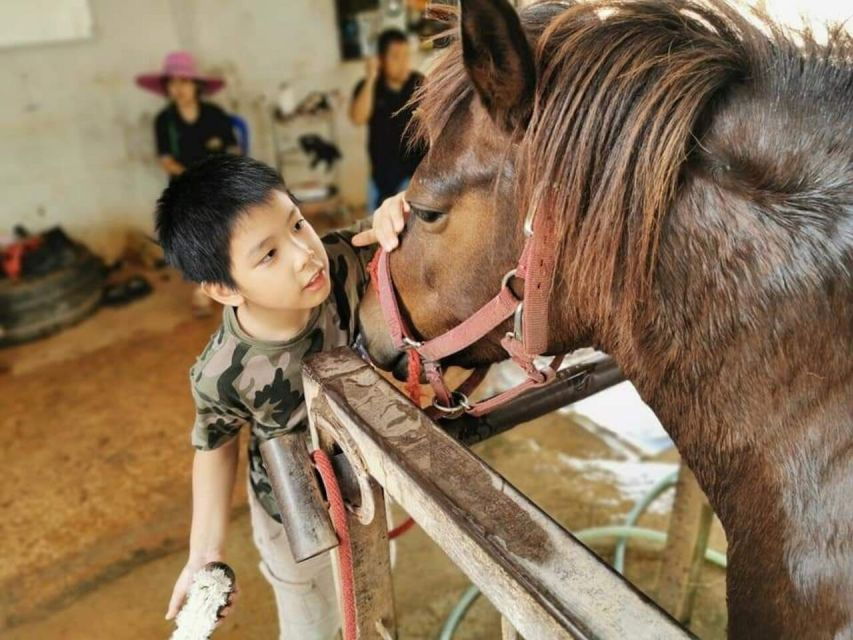 Bangkok: Khao Yai National Park With Horseback Ride Day Trip - Good To Know