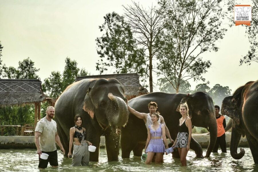 Bangkok: Pattaya Elephant Jungle Sanctuary Half-Day Tour - Good To Know