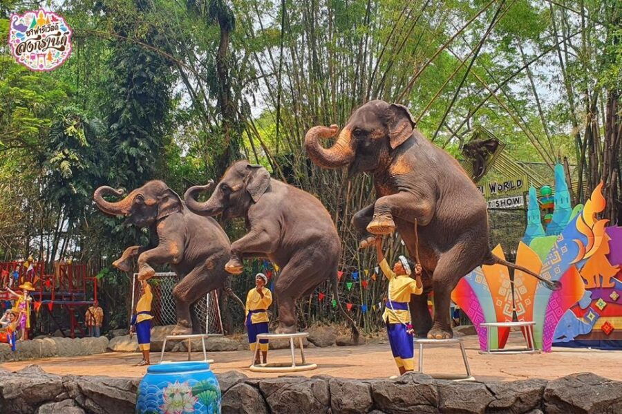 Bangkok: Safari World & Marine Park With Lunch and Transfer - Good To Know