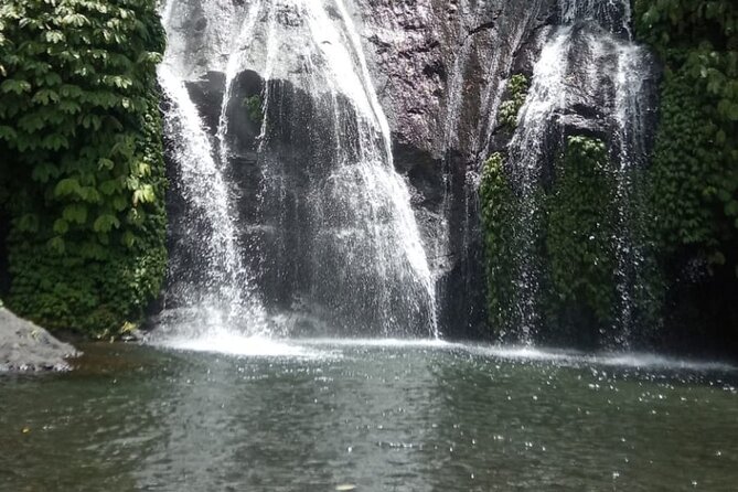 Banyumala Handara Gate Ulundanu Bratan Private Guided Tour - Good To Know