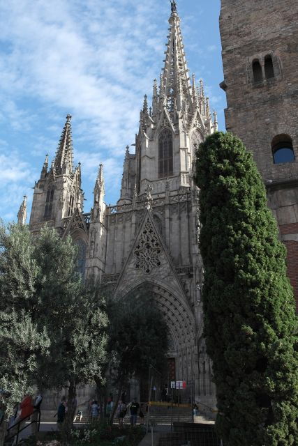 Barcelona: 4-hour Private Guided Walking Tour - Good To Know