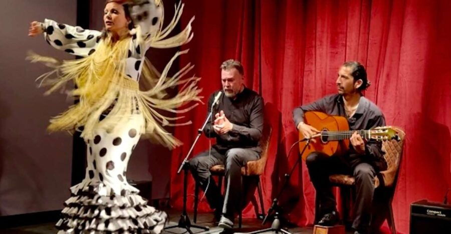 Barcelona: Flamenco Premium Show and Tour Guitar Museum - Good To Know