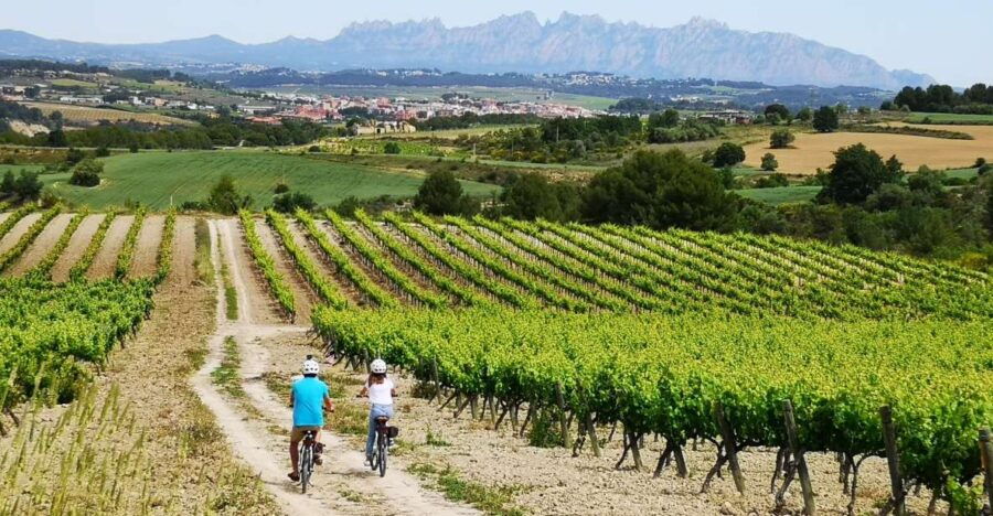 Barcelona: Guided Half-Day Wine and Electric Bike Tour - Good To Know