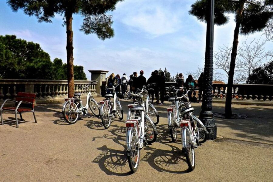 Barcelona: Personalized Private E-Bike Tour - Good To Know