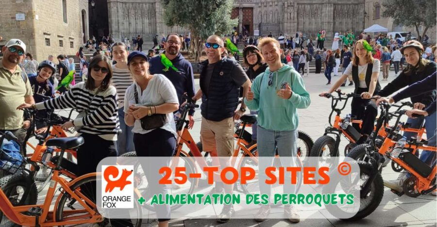 Barcelona Tour With French Guide 25-тOp Sites, Bike/Ebike - Good To Know