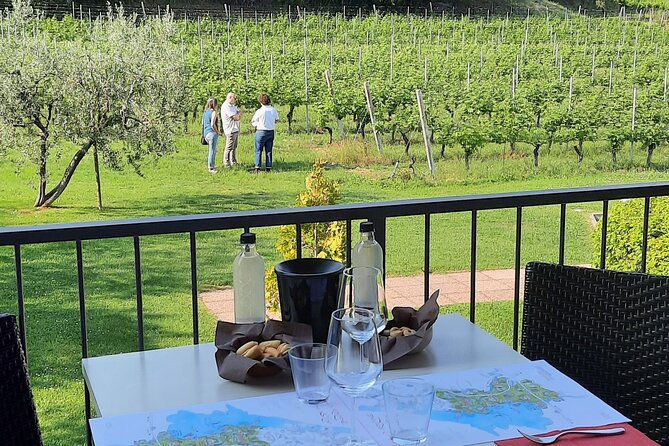 Bardolino: Vineyard Tour, Wine, Oil and Food Tasting