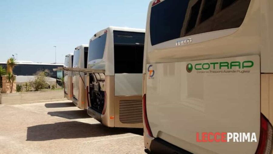 Bari Airport: 1-Way Shared Transfer to Matera City Center - Good To Know