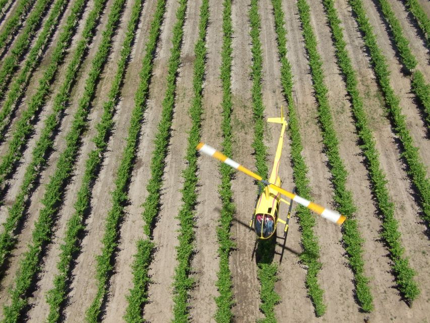 Barossa Valley: 10-Minute Scenic Helicopter Flight