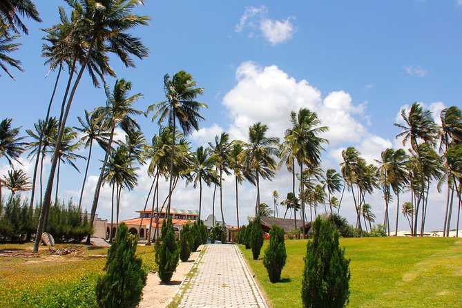 25 Best Tours In Natal