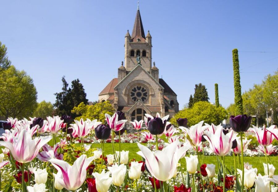 Basel: Private Exclusive Architecture Tour With Local Expert