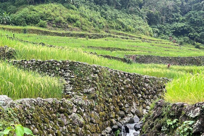 Batad Guided Tour