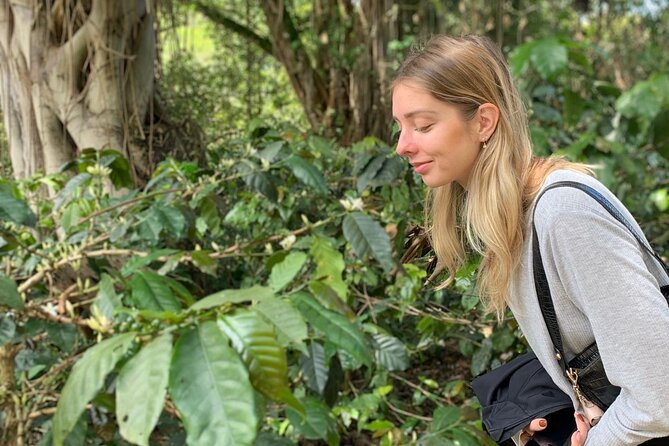 Be a Farmer for One Day (Coffee Farm Experience) - Good To Know