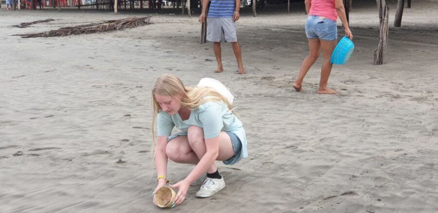 .Beach Horse Riding Turtle Release Crocodile Farm Experience - Good To Know