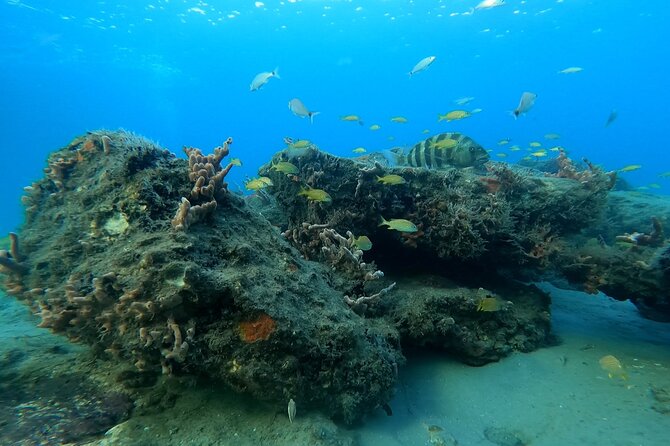 Beach Snorkeling Adventure in Lauderdale by the Sea - Good To Know