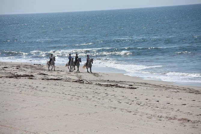 Beach Trail Rides