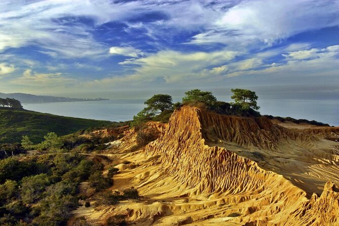 Beaches & Bluffs San Diegos Ultimate Coastal Driving Tour