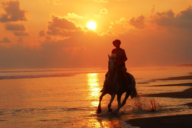 Beachfront Horseback Riding Tour From Quepos - Jaco