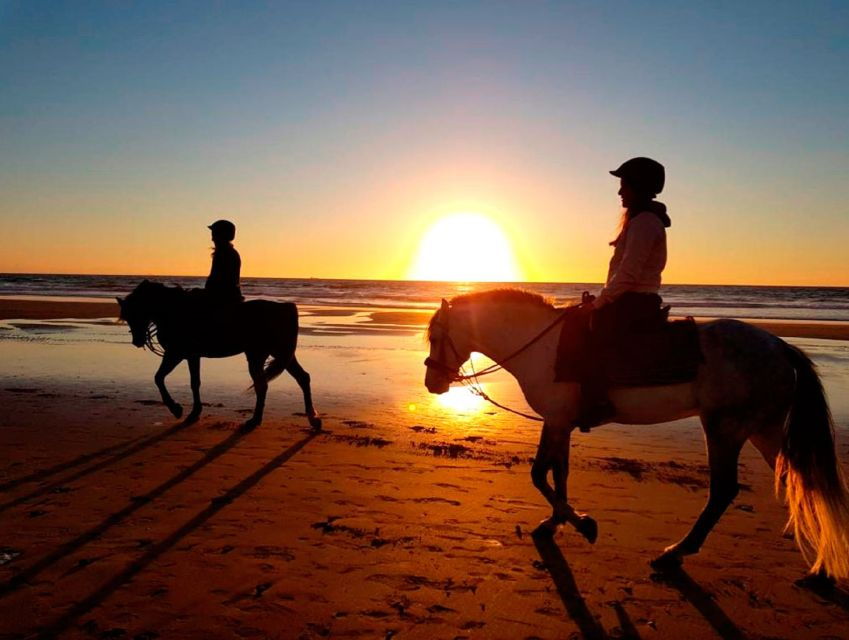 Beachside Horseback Ride: 90 Minutes of Sunset Delight - Good To Know