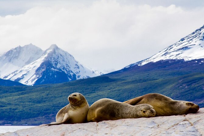Beagle Channel Navigation With Trekking at the Bridges Islands