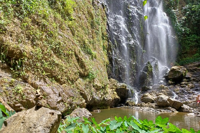 Beautiful Forest Hike to a Gorgeous Waterfall - Good To Know