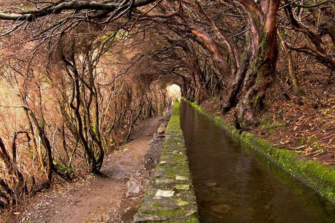 Beautiful Walks in Rabaçal, Madeira