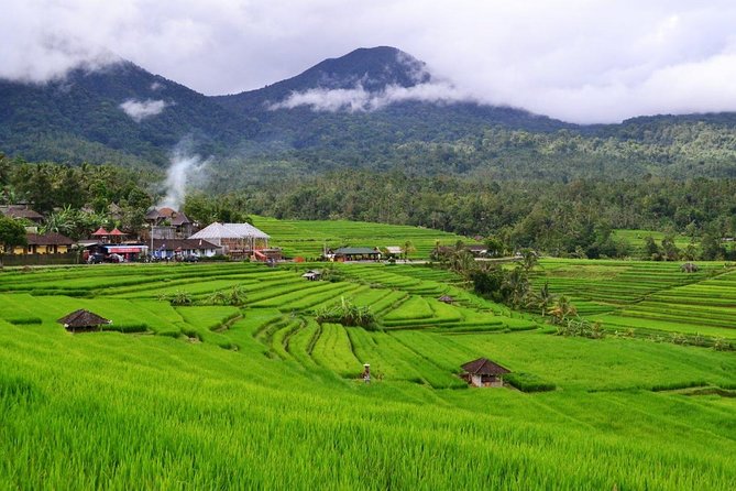 Beauty Of West Bali Tour (Private and All Inclusive) - Good To Know
