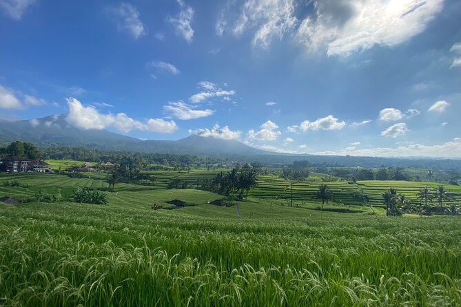 Bedugul, Jatiluwih, Tanah Lot - Good To Know