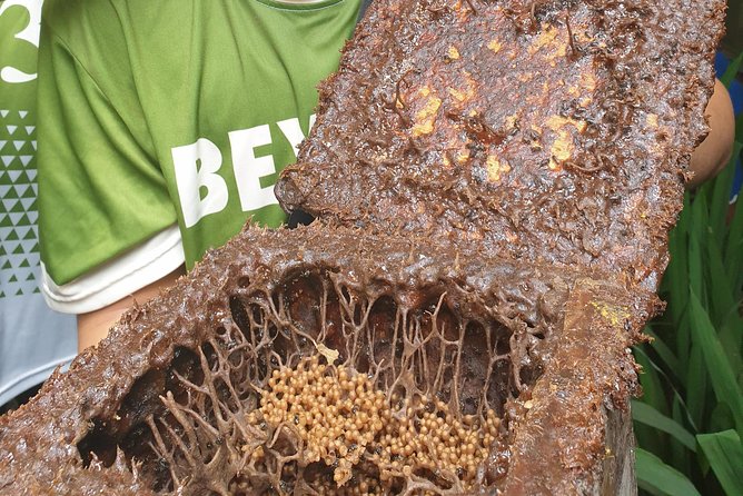 BEEsita Sa Bukid - Guided Bee Farm Tour