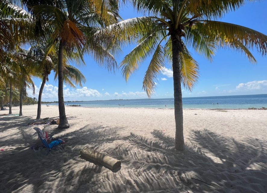 2 Best Scuba Diving Experiences In Miami