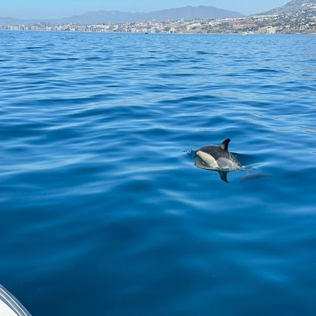 Benalmadena: Boat Rental in Malaga for Hours - Good To Know