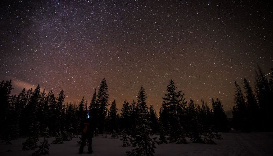 Bend: Guided Moonlit Snowshoe Tour