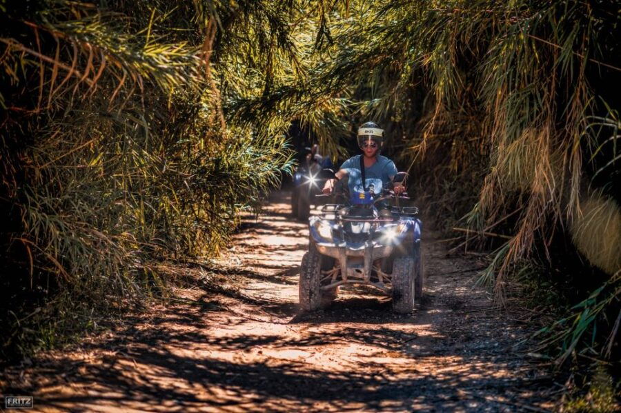 Benidorm: Jungle or Algar Waterfalls Quad Tour