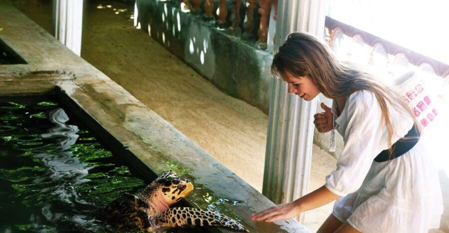 Bentota Day Tour From Colombo - Good To Know